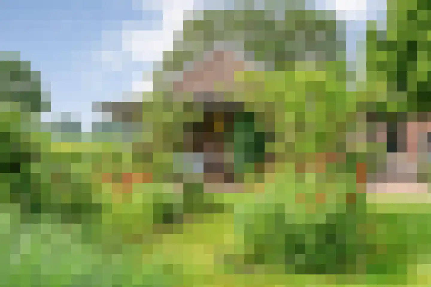 Kuilenweg 20 Bruchterveld thumbnail 55