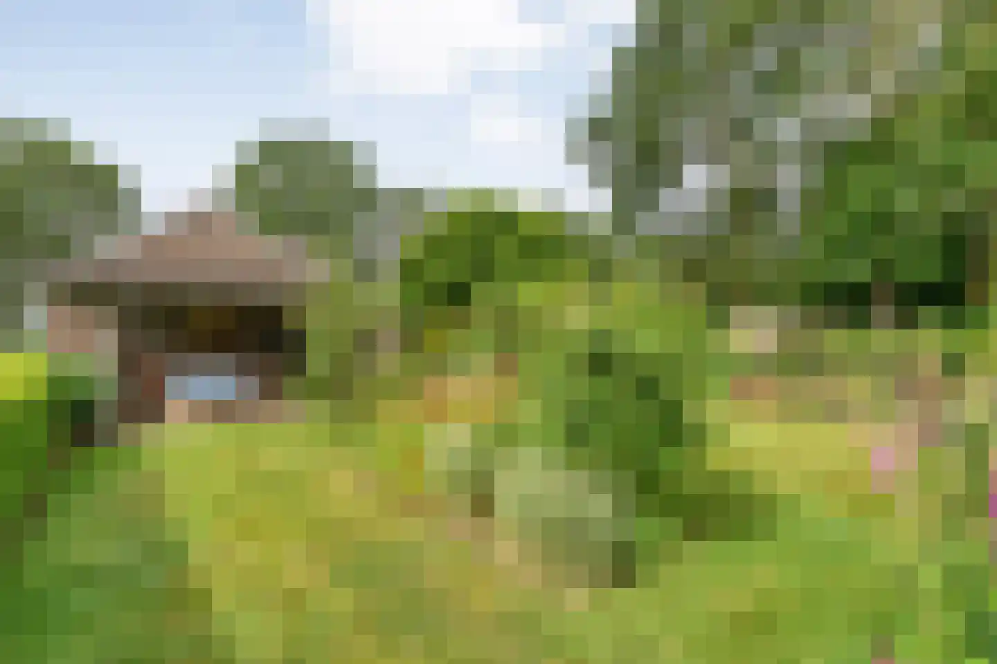 Kuilenweg 20 Bruchterveld thumbnail 56