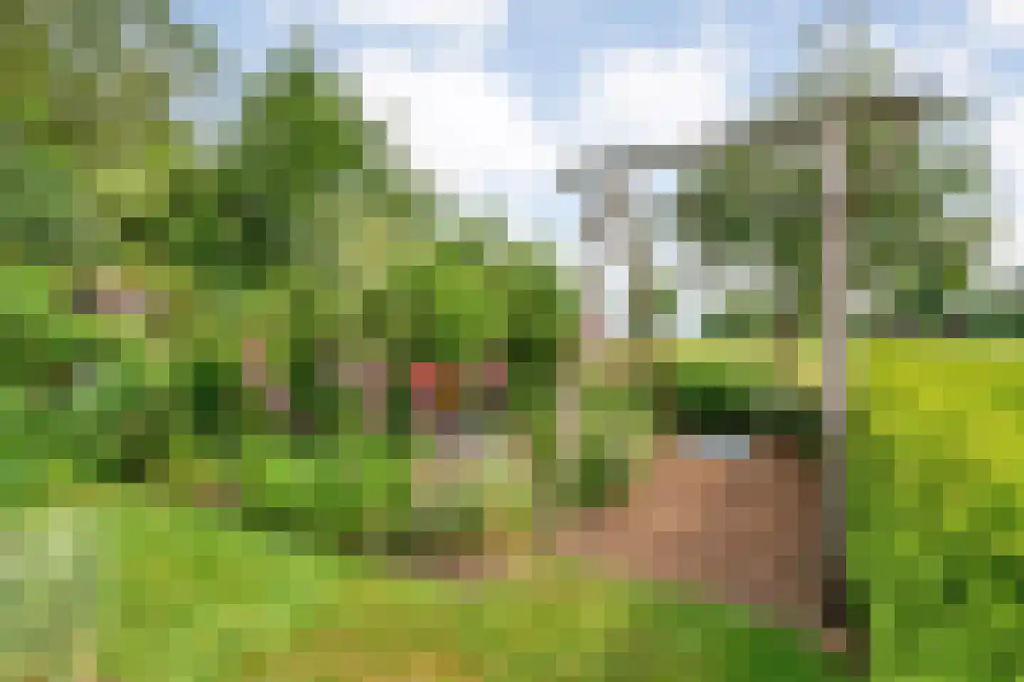 Kuilenweg 20 Bruchterveld thumbnail 59