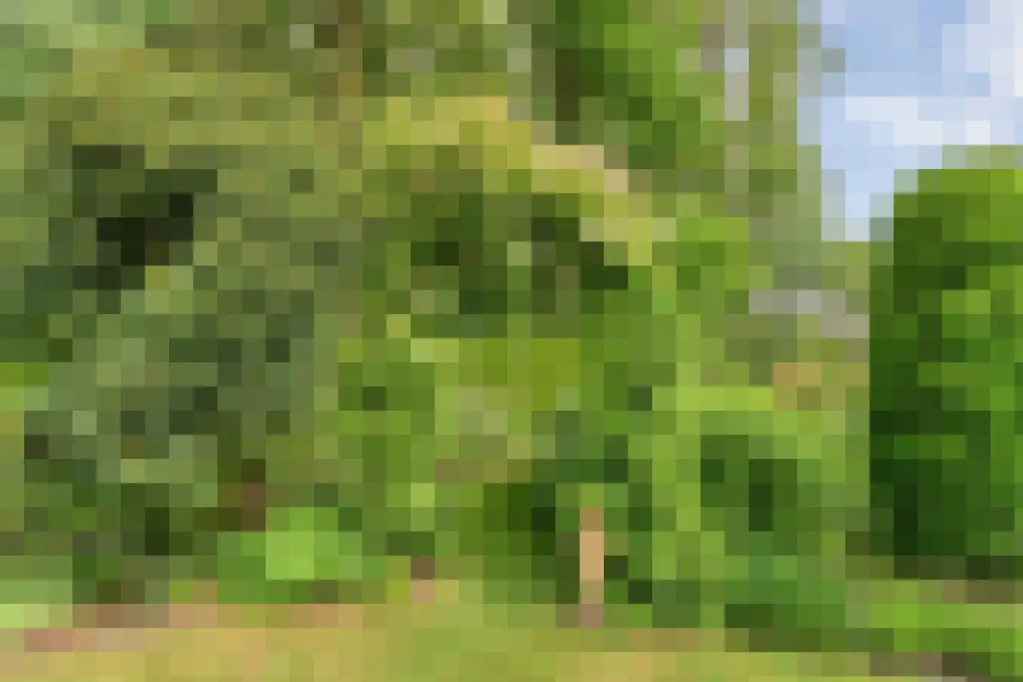 Kuilenweg 20 Bruchterveld thumbnail 60