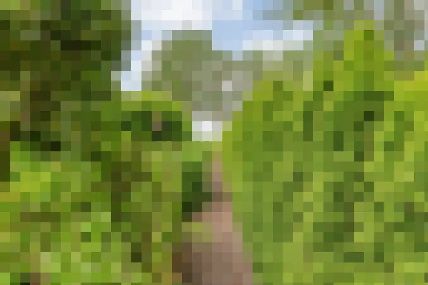 Kuilenweg 20 Bruchterveld thumbnail 61