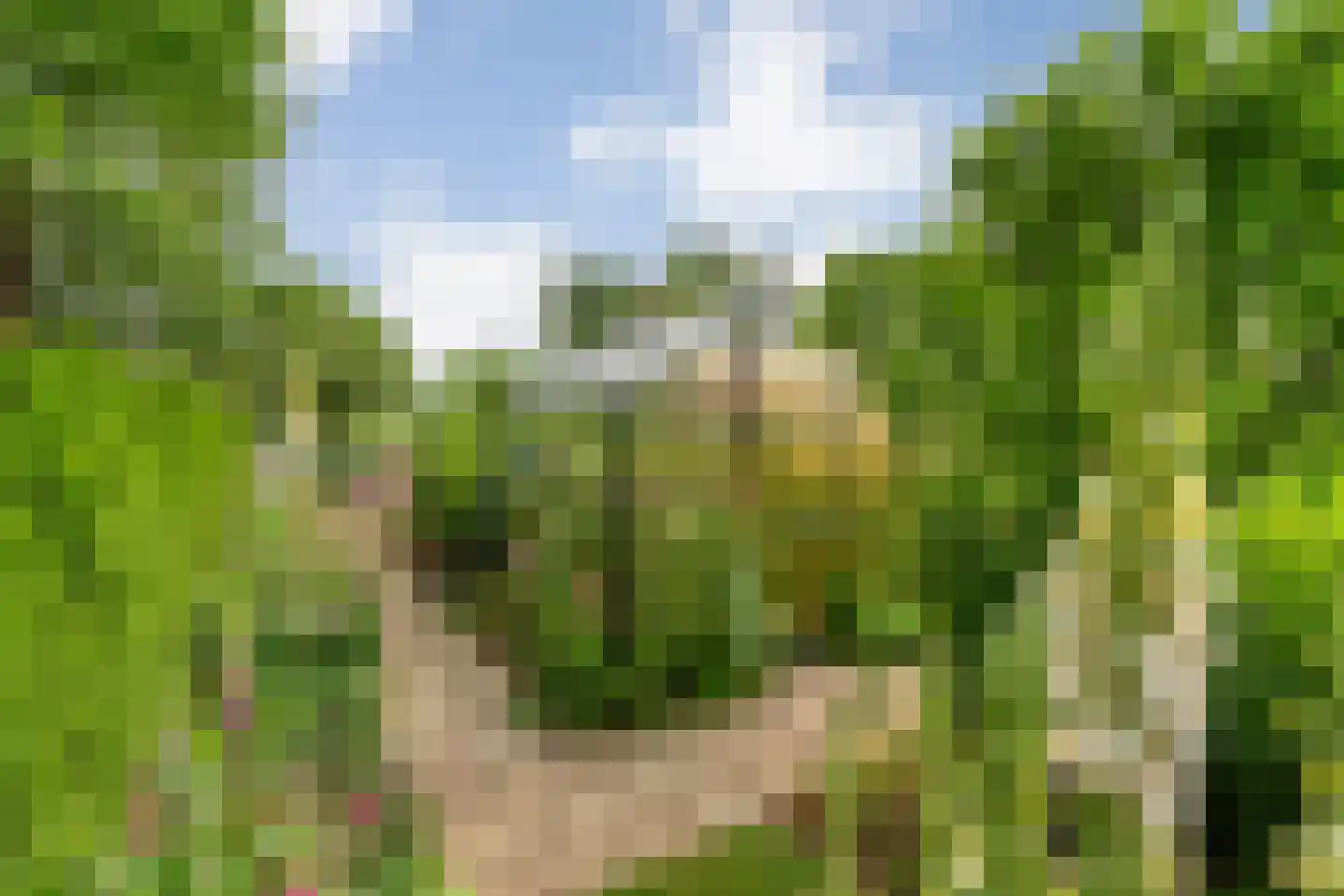 Kuilenweg 20 Bruchterveld thumbnail 62