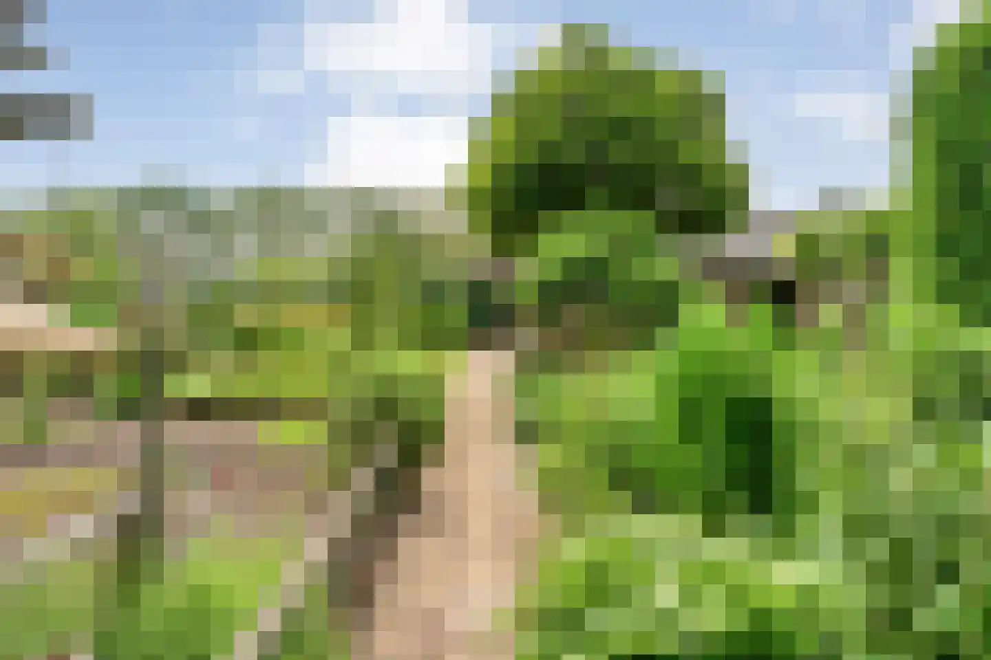 Kuilenweg 20 Bruchterveld thumbnail 63