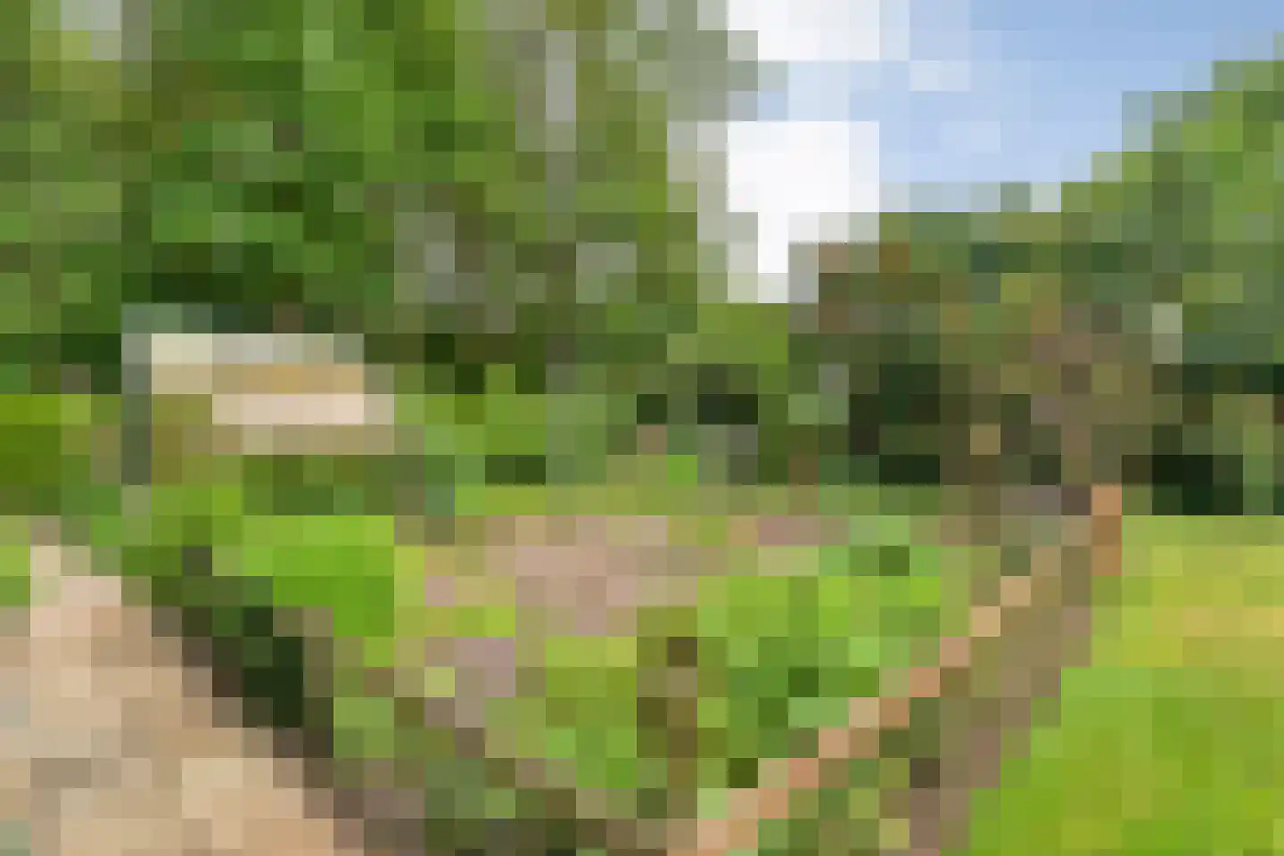 Kuilenweg 20 Bruchterveld thumbnail 64