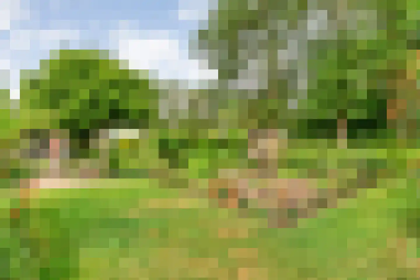 Kuilenweg 20 Bruchterveld thumbnail 65