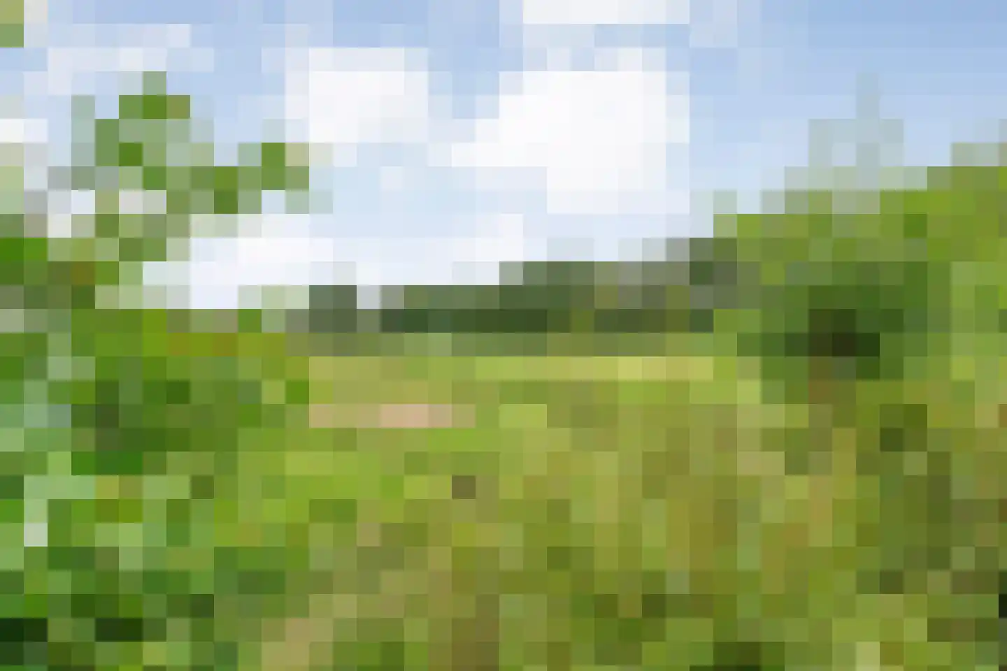 Kuilenweg 20 Bruchterveld thumbnail 66