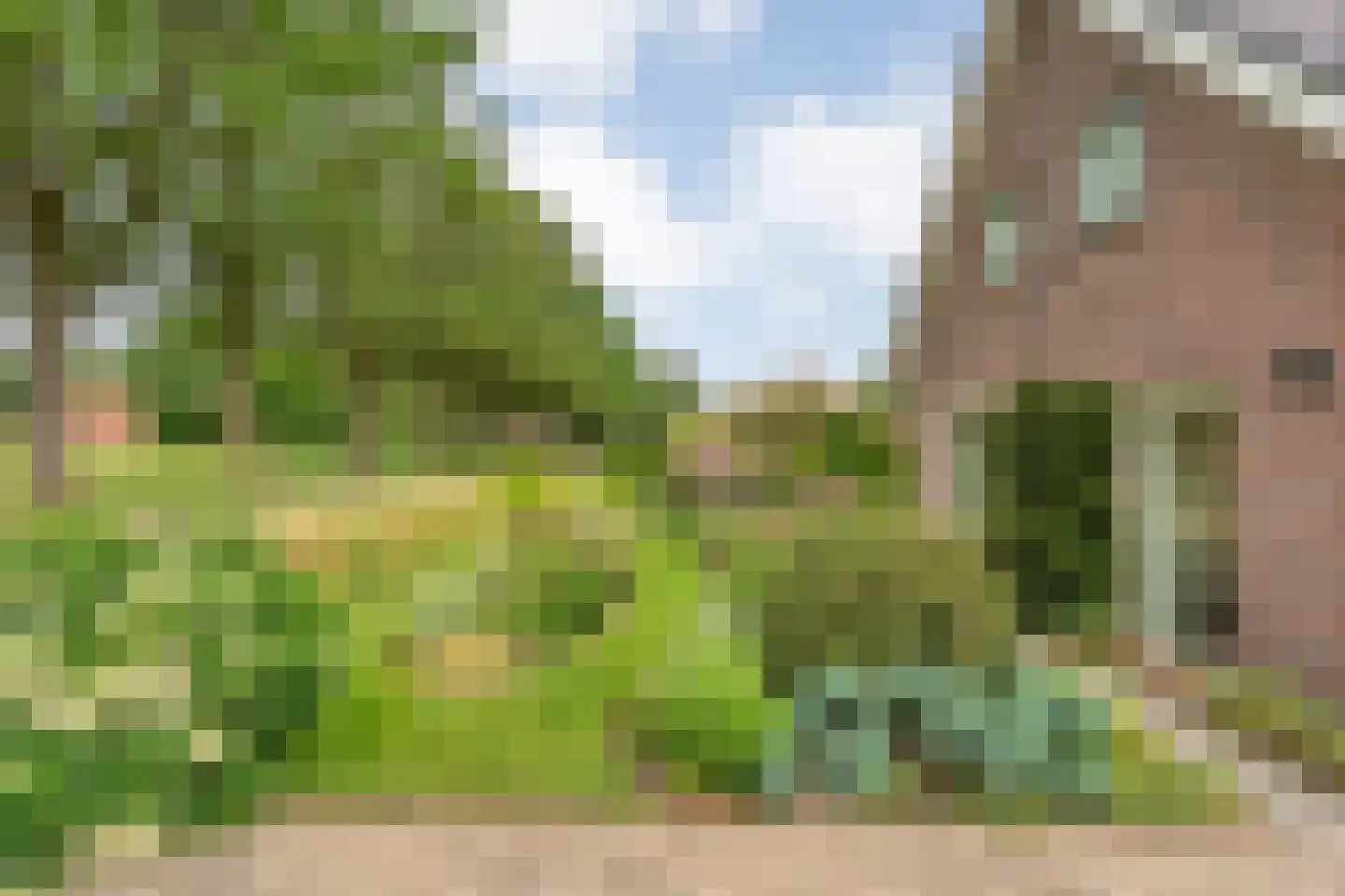 Kuilenweg 20 Bruchterveld thumbnail 7