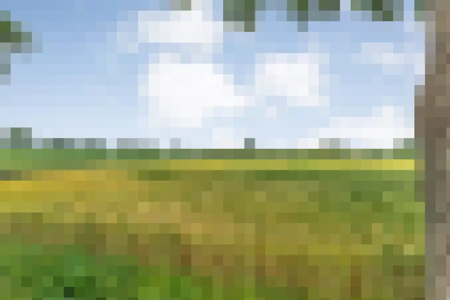 Kuilenweg 20 Bruchterveld thumbnail 8