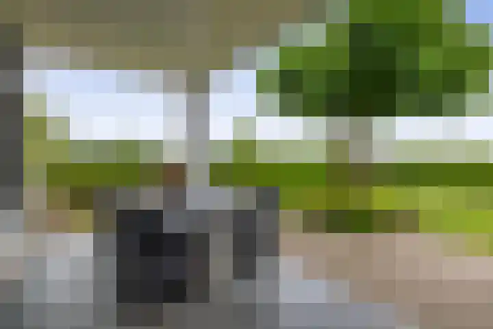 Kuilerstraat 16 Someren thumbnail 15