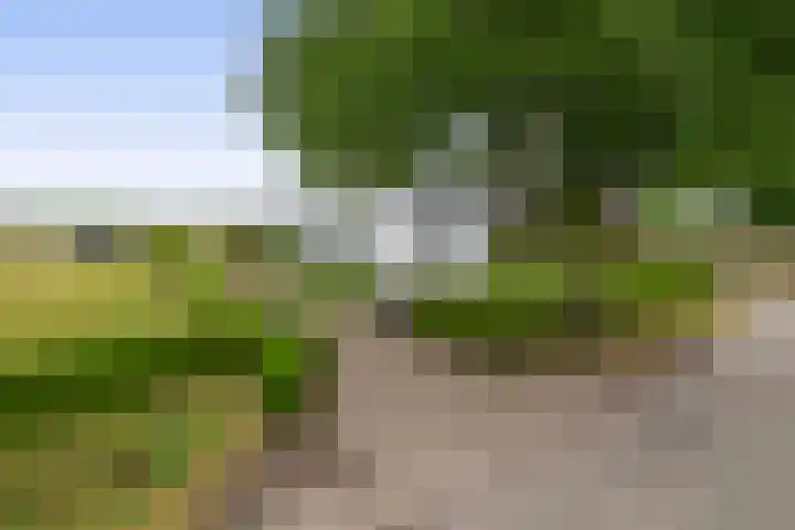 Kuilerstraat 16 Someren thumbnail 5