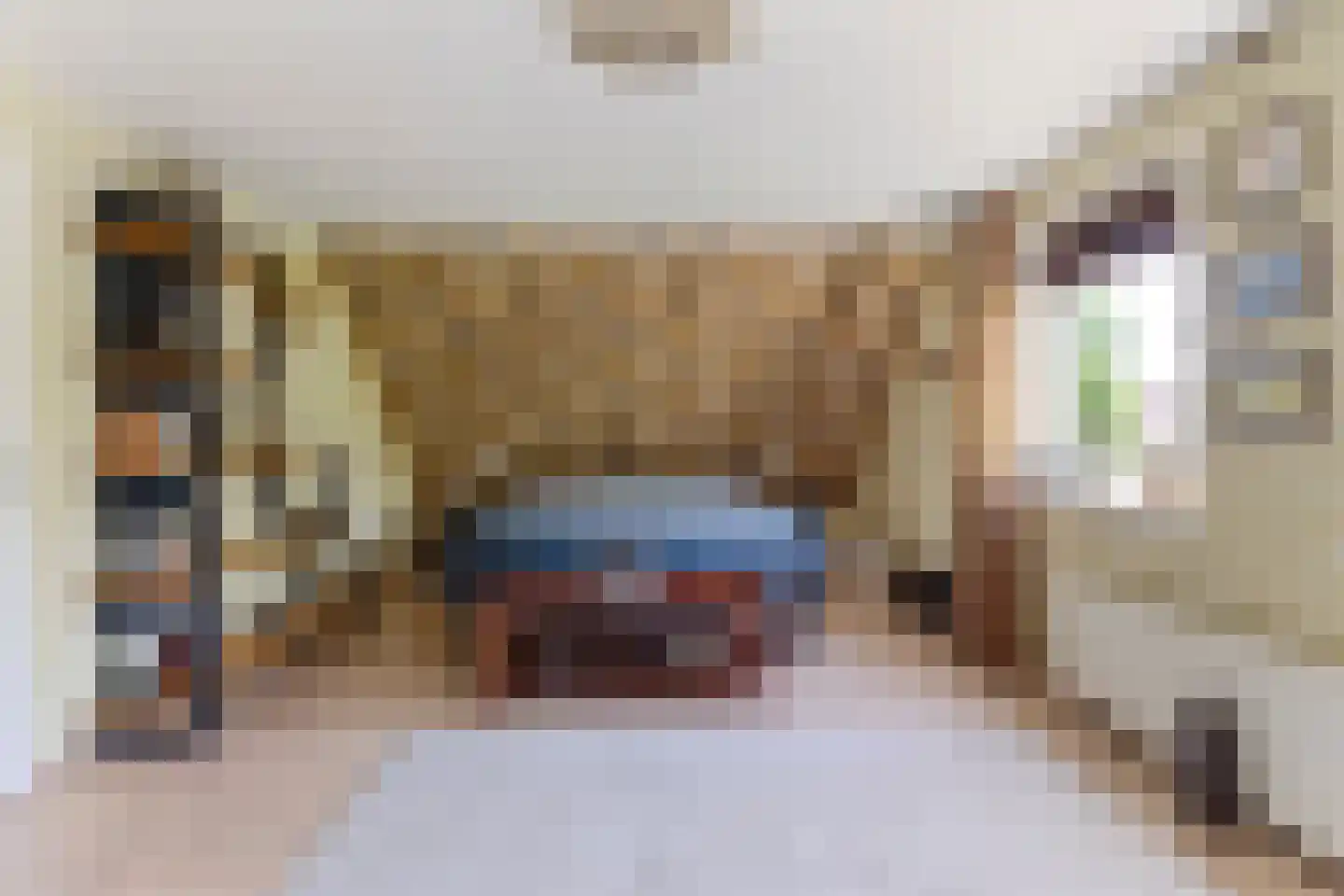 Kuileweid 34 Tuitjenhorn thumbnail 28