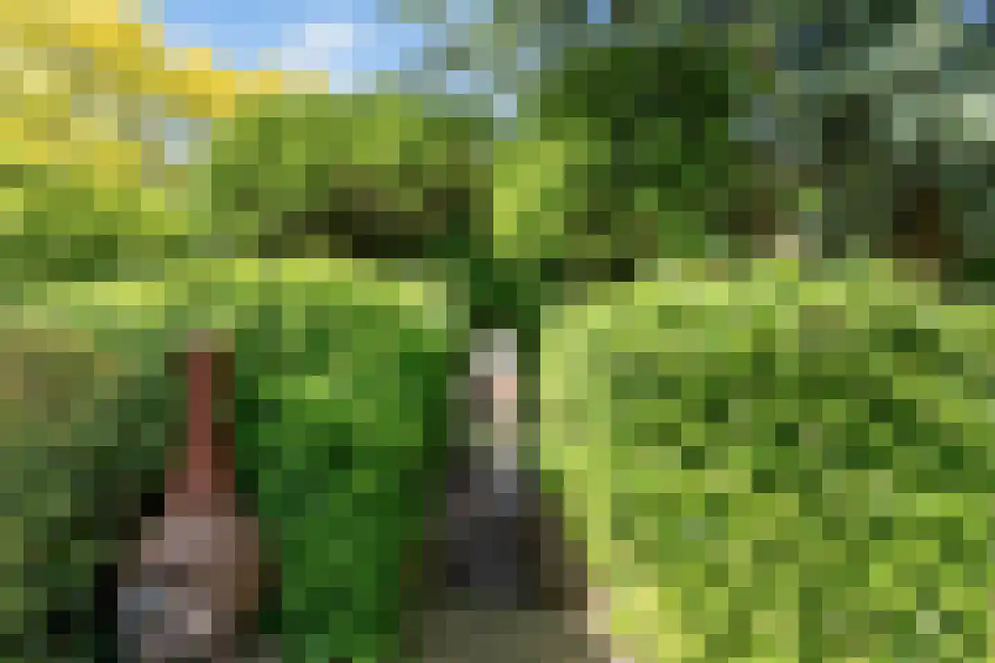 Kuileweid 34 Tuitjenhorn thumbnail 50