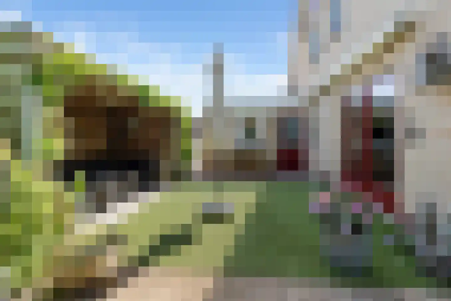 Kuileweid 34 Tuitjenhorn thumbnail 54