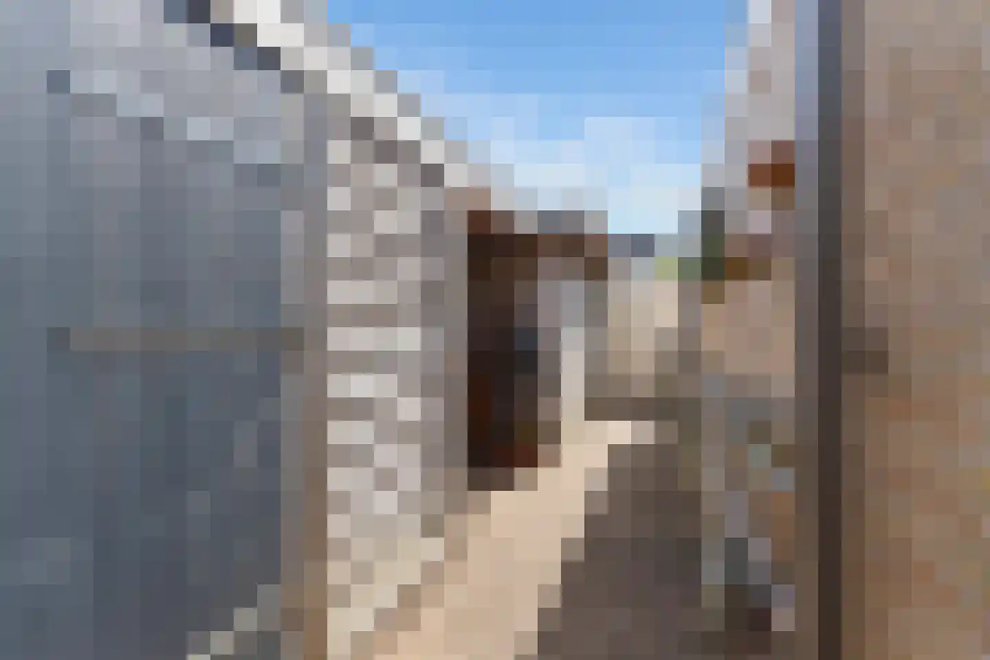 Kuileweid 34 Tuitjenhorn thumbnail 56