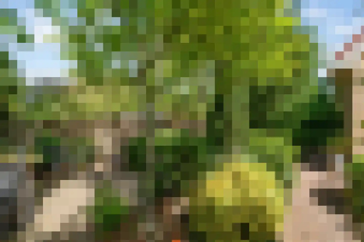 Kuileweid 34 Tuitjenhorn thumbnail 58