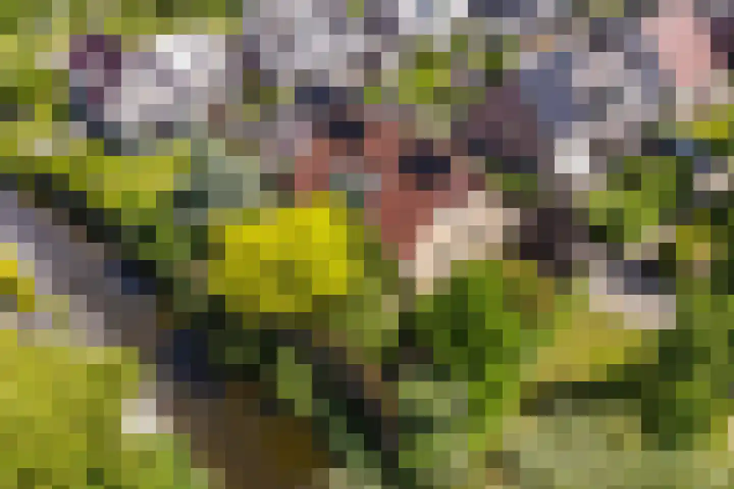 Kuileweid 34 Tuitjenhorn thumbnail 59