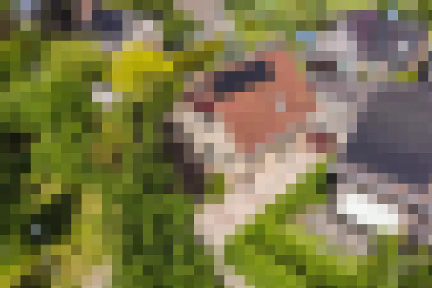 Kuileweid 34 Tuitjenhorn thumbnail 61