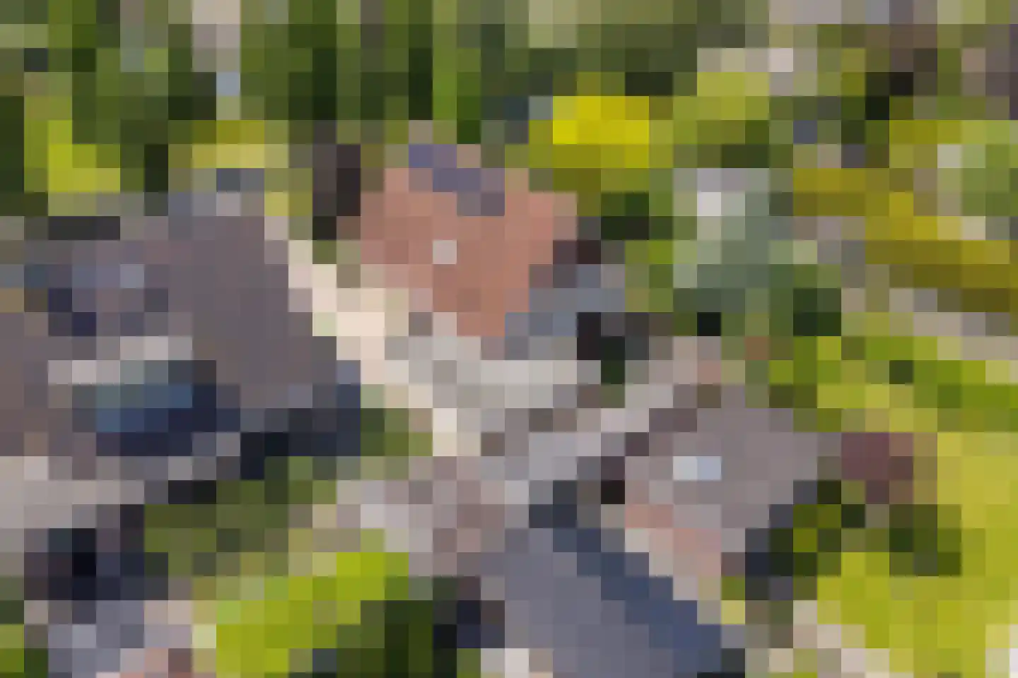 Kuileweid 34 Tuitjenhorn thumbnail 62