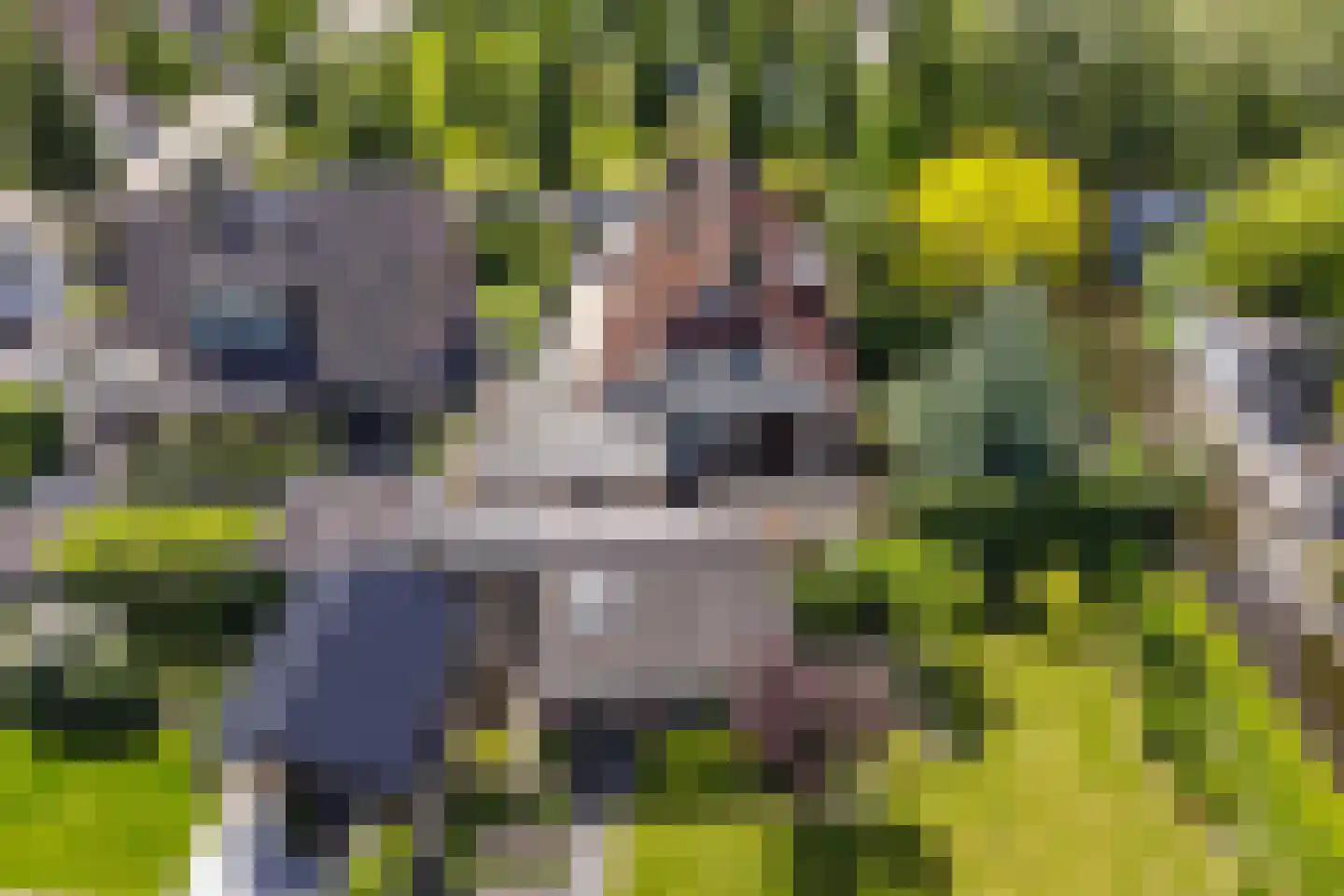 Kuileweid 34 Tuitjenhorn thumbnail 63
