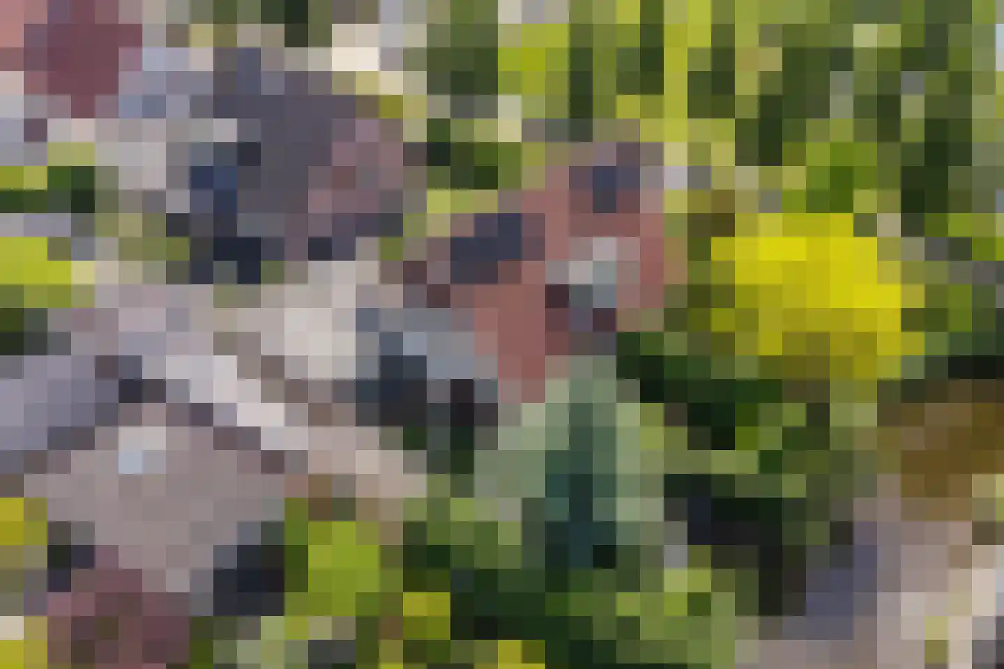 Kuileweid 34 Tuitjenhorn thumbnail 64