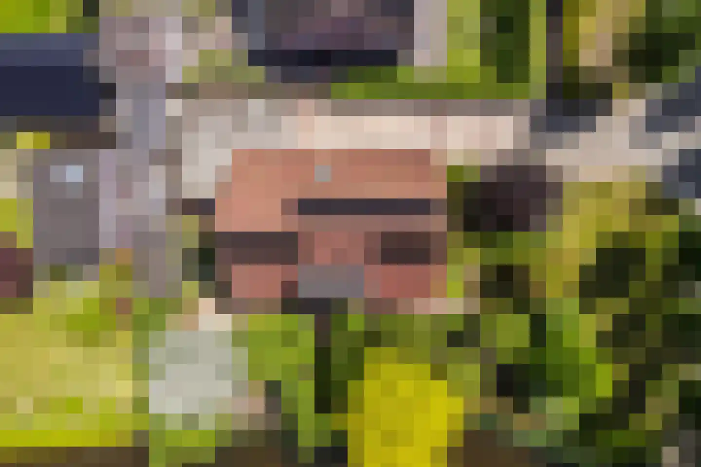 Kuileweid 34 Tuitjenhorn thumbnail 65