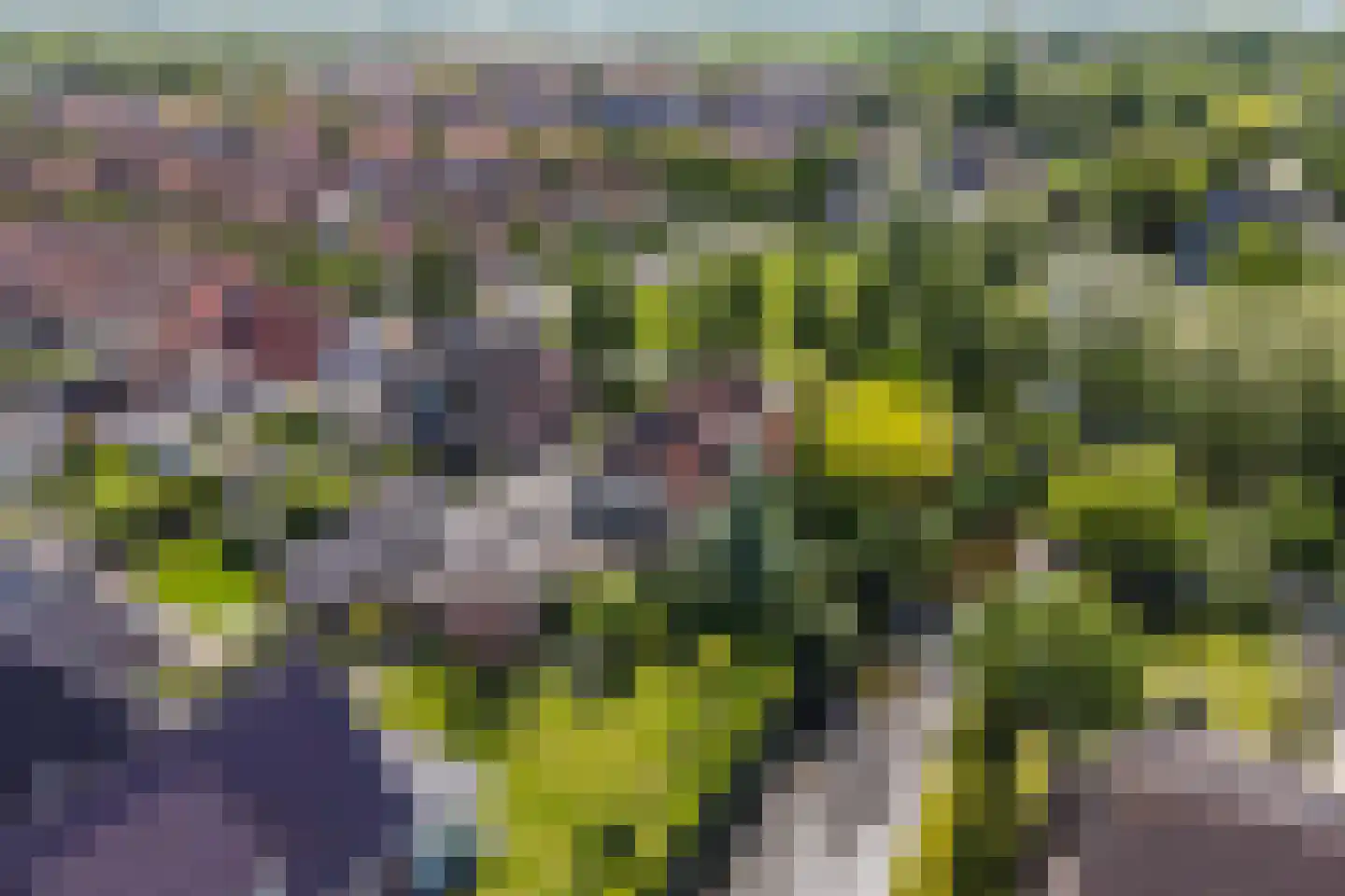 Kuileweid 34 Tuitjenhorn thumbnail 66