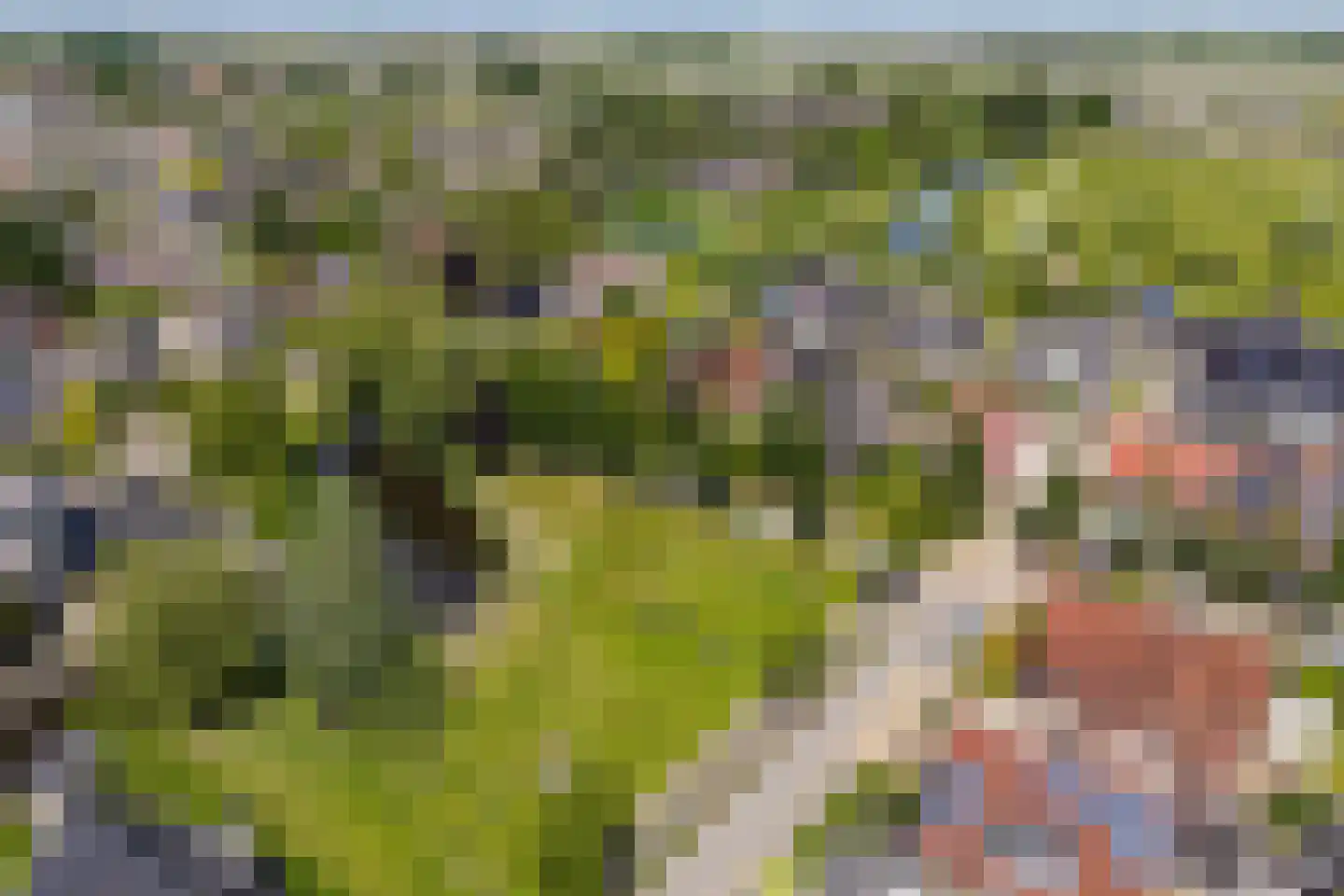 Kuileweid 34 Tuitjenhorn thumbnail 67