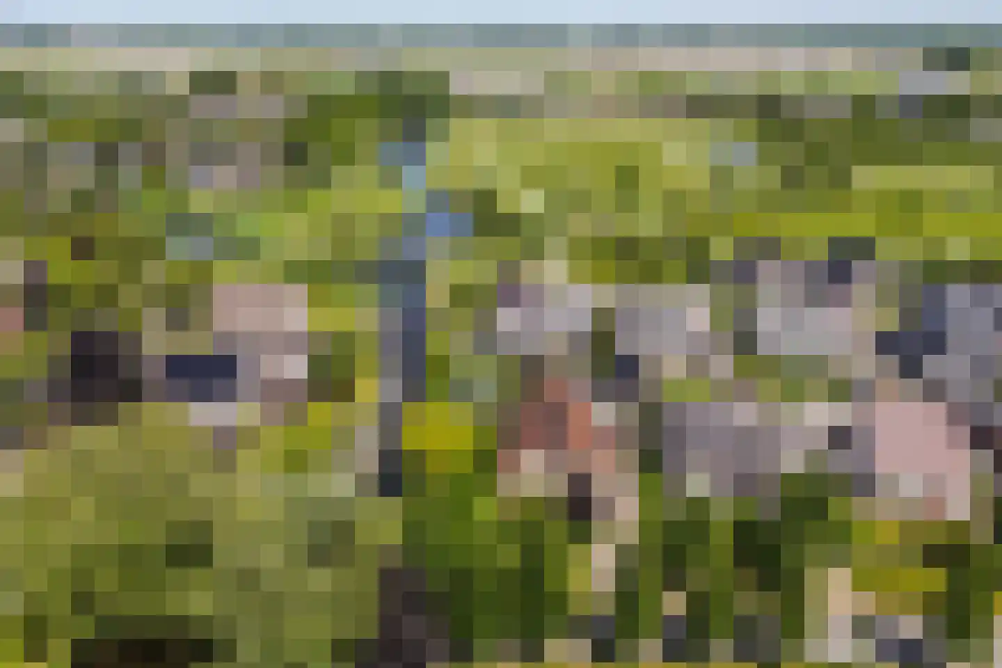 Kuileweid 34 Tuitjenhorn thumbnail 68