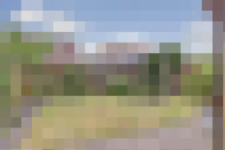 Kuileweid 43 Tuitjenhorn thumbnail 10