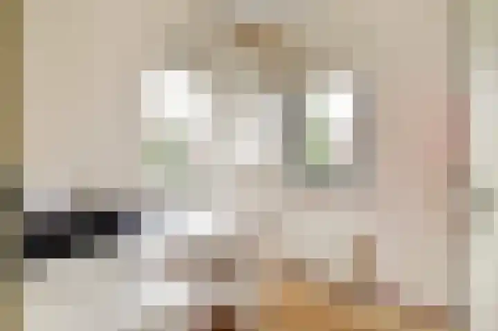 Kuileweid 43 Tuitjenhorn thumbnail 19