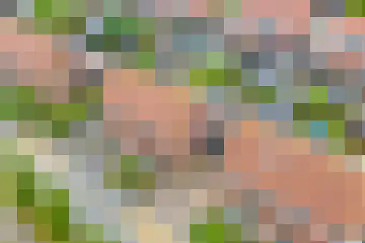Kuileweid 43 Tuitjenhorn thumbnail 25