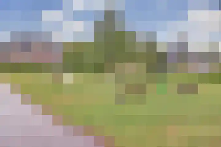 Kuileweid 43 Tuitjenhorn thumbnail 26