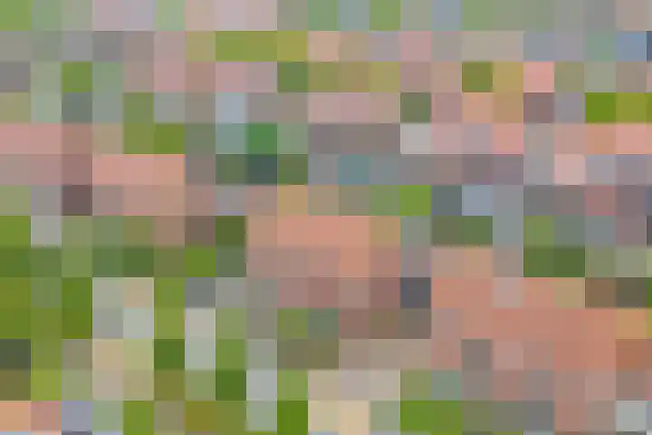 Kuileweid 43 Tuitjenhorn thumbnail 27