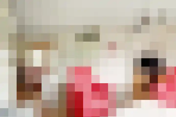 Kuileweid 43 Tuitjenhorn thumbnail 6