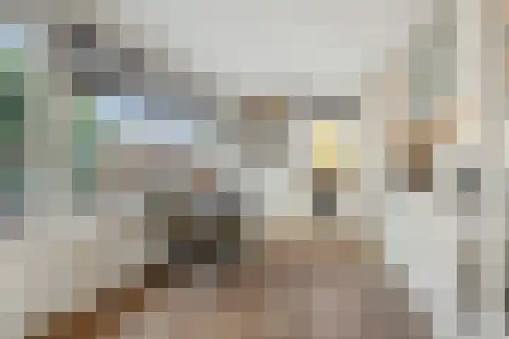 Kuilheuvel 9 Deurne thumbnail 4