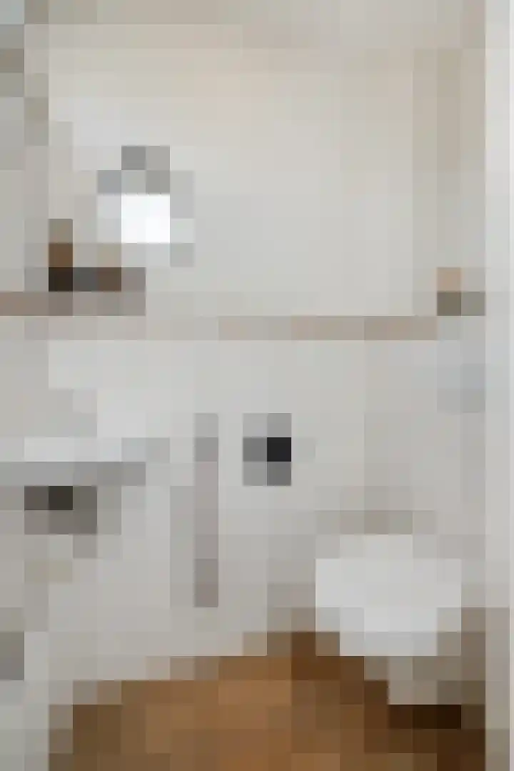 Kuilheuvel 9 Deurne thumbnail 9