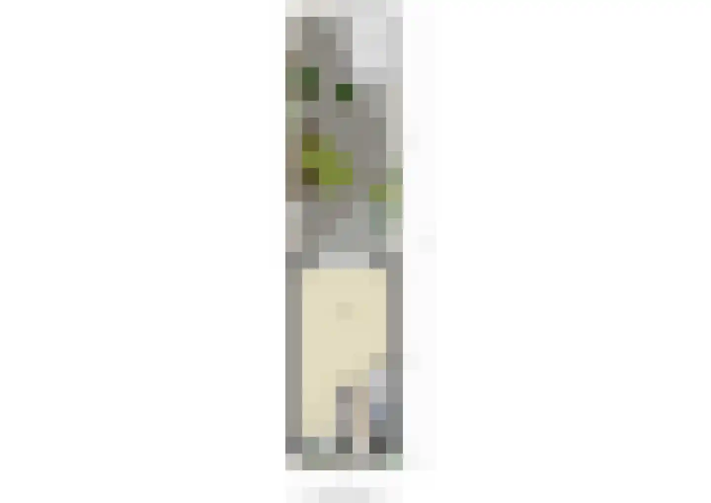 Kuilkant 117 Barendrecht thumbnail 33