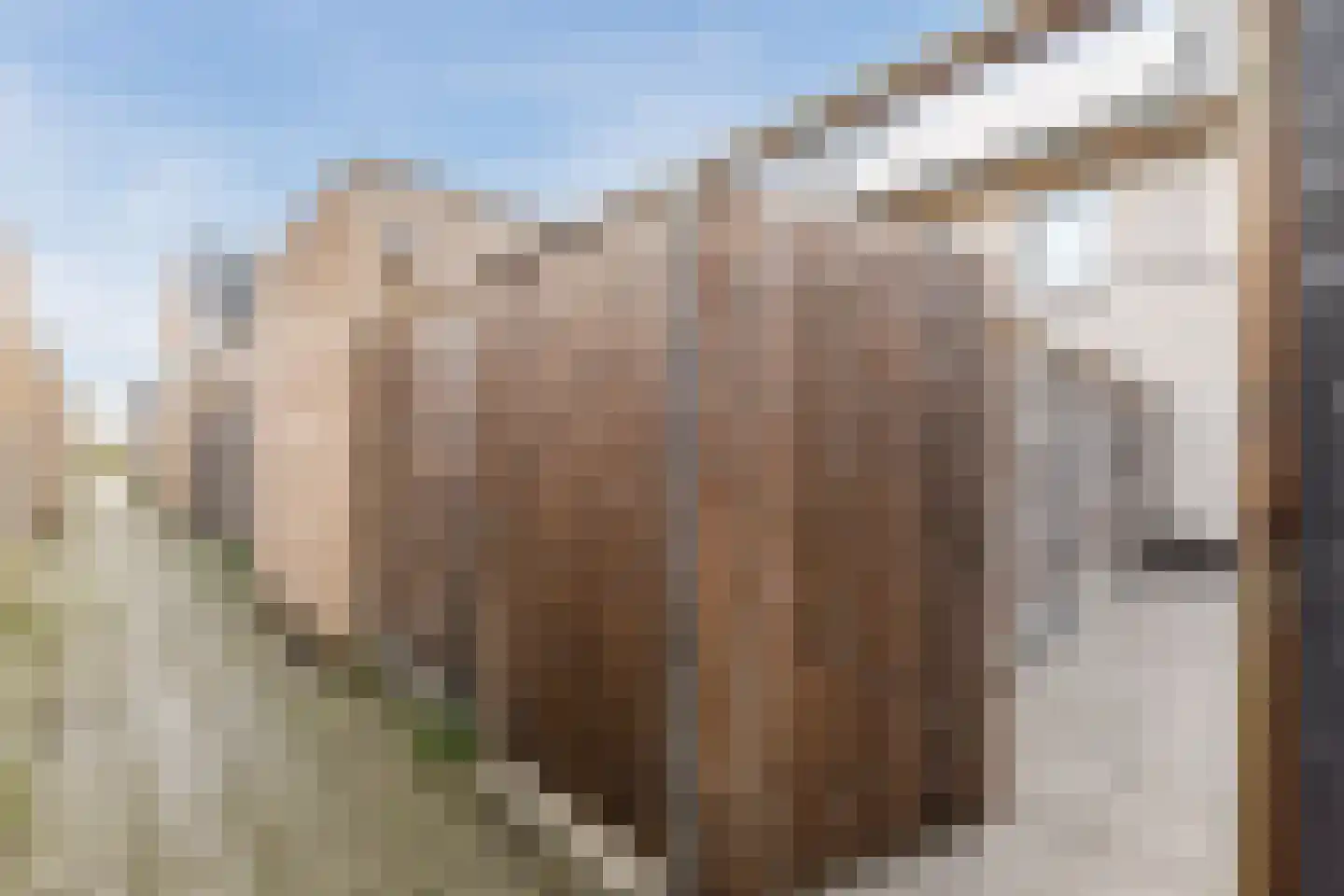 Kuiloven 8 Leerdam thumbnail 30