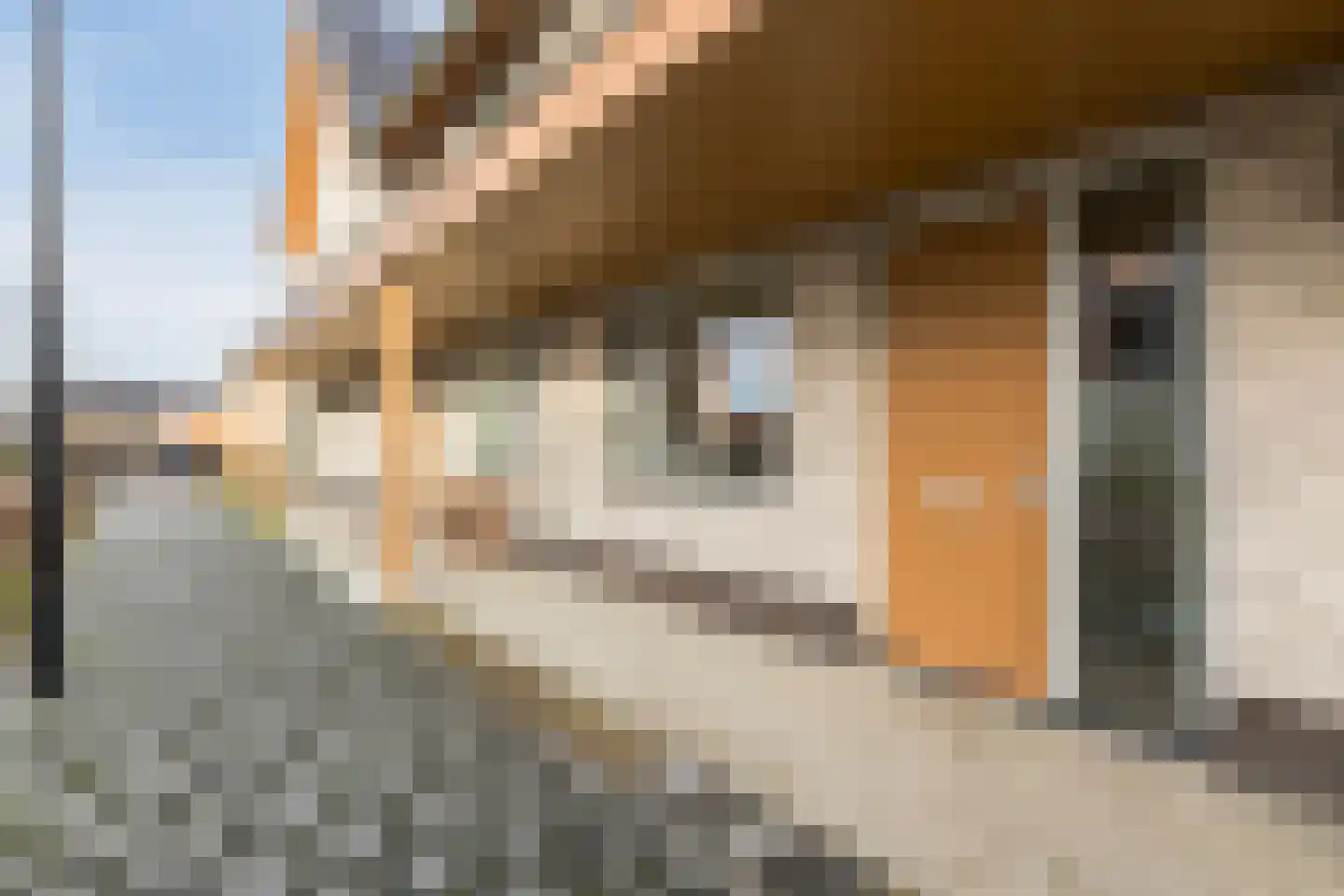 Kuiloven 8 Leerdam thumbnail 31
