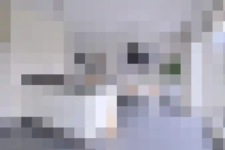 Kuilovenstraat 12 Heeten thumbnail 13
