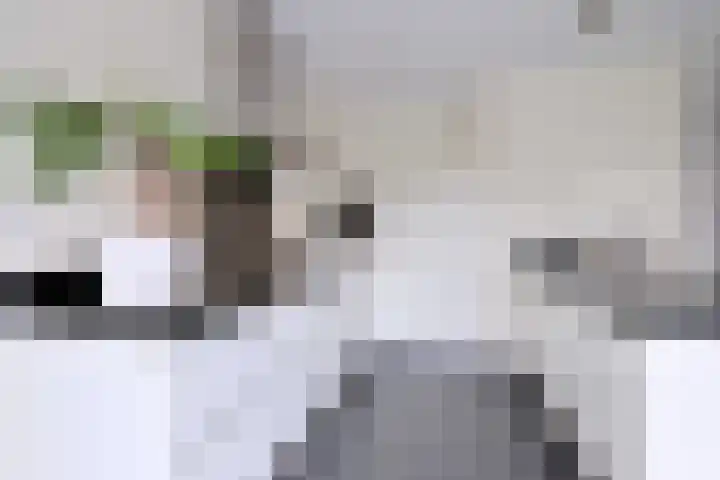 Kuilovenstraat 12 Heeten thumbnail 15