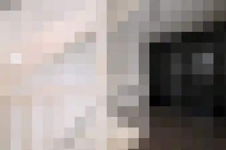 Kuilovenstraat 12 Heeten thumbnail 17