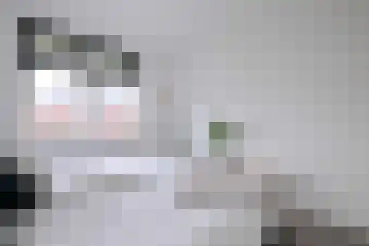 Kuilovenstraat 12 Heeten thumbnail 22