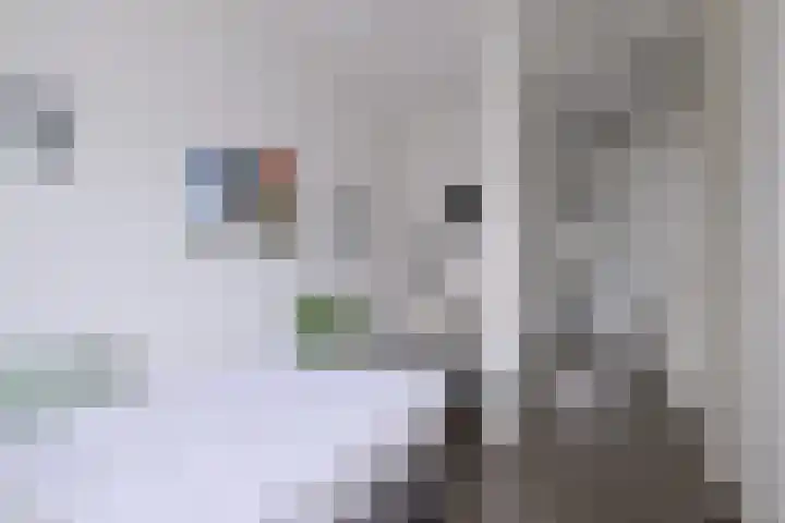 Kuilovenstraat 12 Heeten thumbnail 32