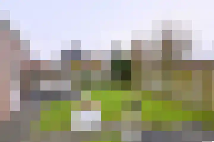 Kuilovenstraat 12 Heeten thumbnail 36