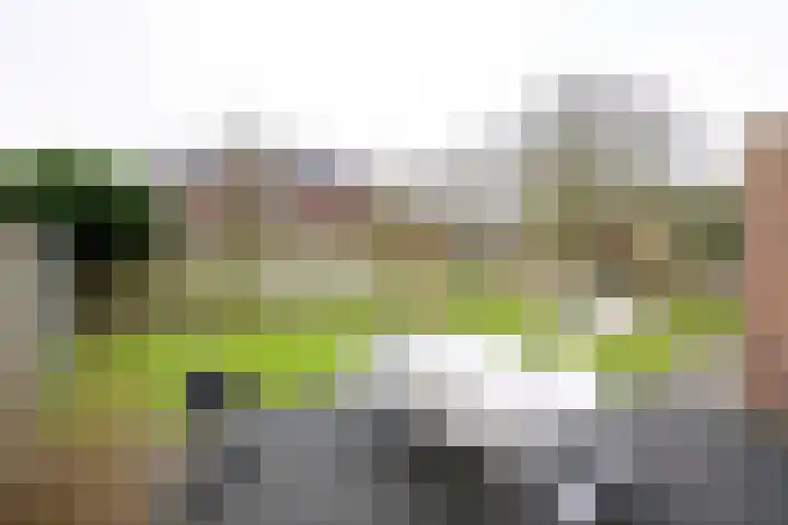 Kuilovenstraat 12 Heeten thumbnail 39