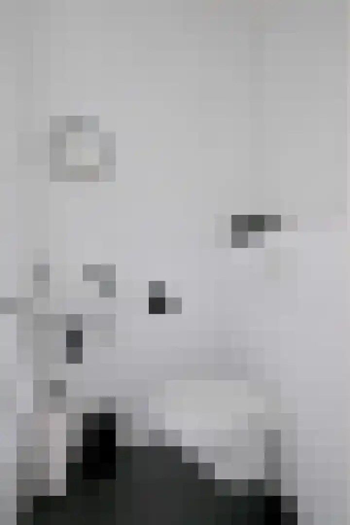 Kuilovenstraat 12 Heeten thumbnail 6