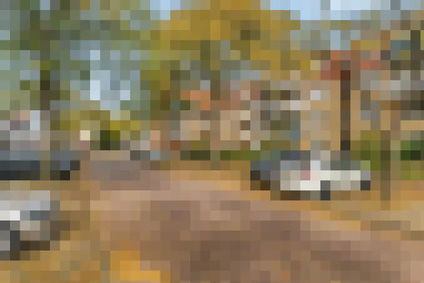 Kuilsenhofweg 1 Amsterdam thumbnail 23