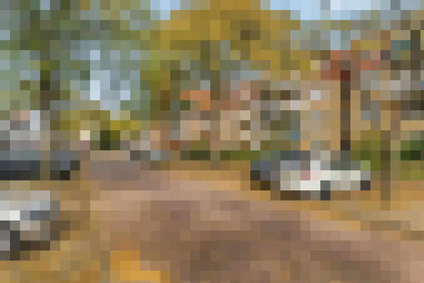 Kuilsenhofweg 1 Amsterdam thumbnail 23