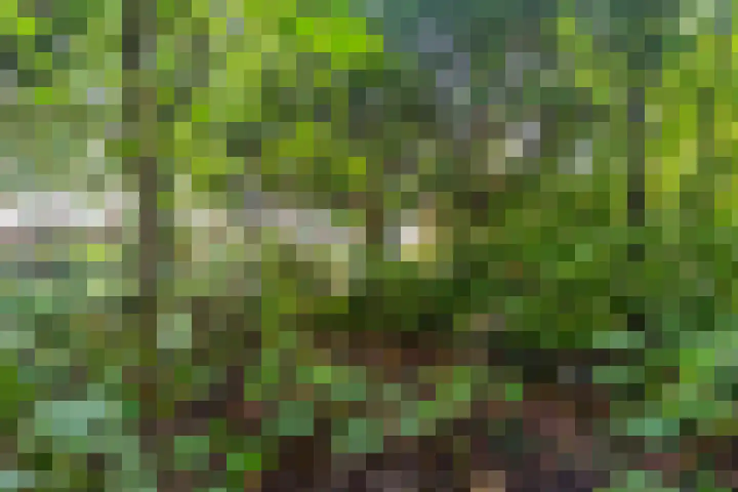 Kuilsenhofweg 1 Amsterdam thumbnail 7
